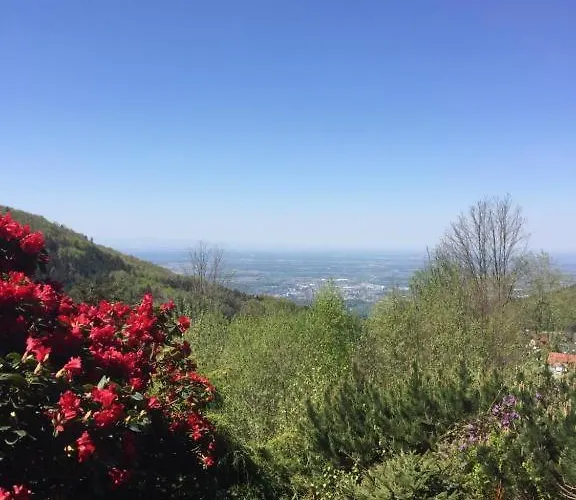 View From The Rock